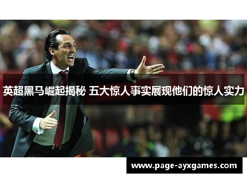 英超黑马崛起揭秘 五大惊人事实展现他们的惊人实力 英超黑马崛起揭秘 五大惊人事实展现他们的惊人实力