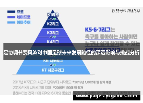 足协调节费风波对中国足球未来发展路径的深远影响与挑战分析 足协调节费风波对中国足球未来发展路径的深远影响与挑战分析