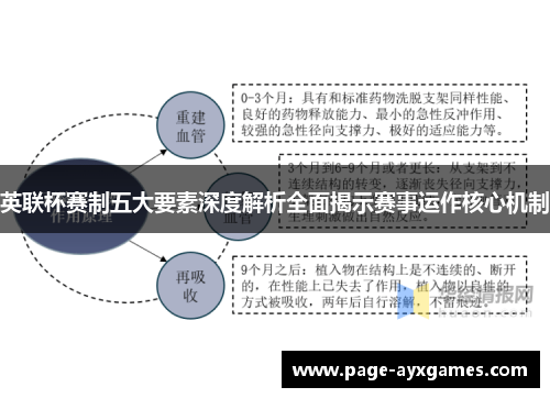 英联杯赛制五大要素深度解析全面揭示赛事运作核心机制