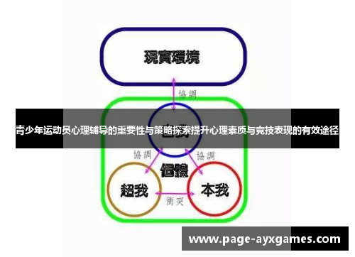 青少年运动员心理辅导的重要性与策略探索提升心理素质与竞技表现的有效途径