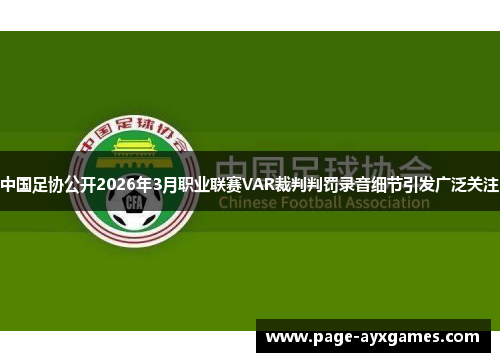 中国足协公开2026年3月职业联赛VAR裁判判罚录音细节引发广泛关注 中国足协公开2026年3月职业联赛VAR裁判判罚录音细节引发广泛关注