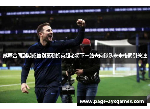 威廉合同到期或告别富勒姆英超老将下一站去向球队未来格局引关注