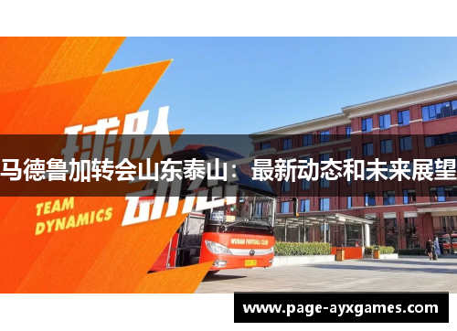 马德鲁加转会山东泰山:最新动态和未来展望 马德鲁加转会山东泰山:最新动态和未来展望