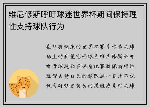 维尼修斯呼吁球迷世界杯期间保持理性支持球队行为